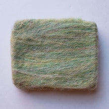 Load image into Gallery viewer, Soap in a Coat